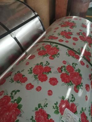 Steel Coil Type and Coated Surface Treatment Painted Steel Coil