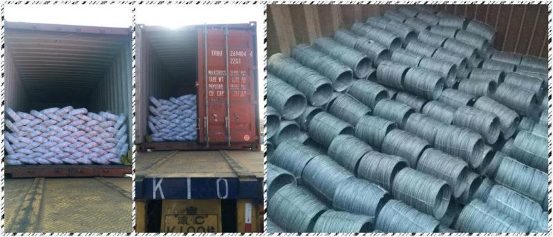 Ms Wire Rod 5.5mm 6.5mm! SAE 1006 SAE 1008 Low Carbon Hot Rolled Steel Ms Wire Rod Price in Coils