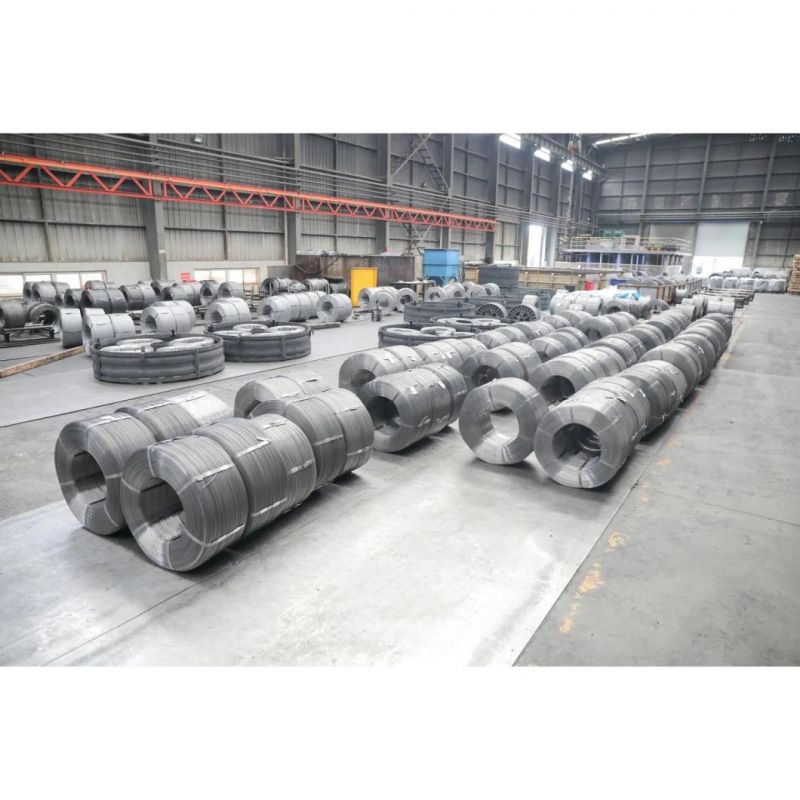 Surface Bright Spheroidized Annealed Steel Wire for Precision Standard Parts