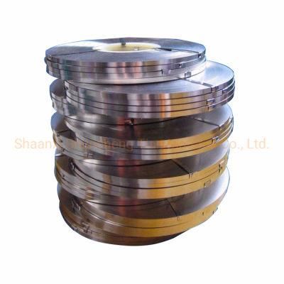 8~600 mm Stainless Steel Strips for Decoration and Construction