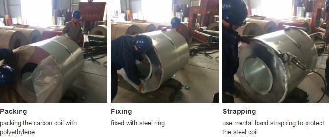 Pre Painted PPGI and Galvanized Coil