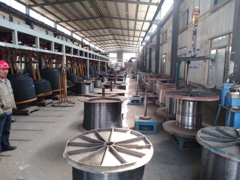 0.7-7.00 mm Hot Dipped/Cold Electro Galvanized Steel Wire Rope Manufacture