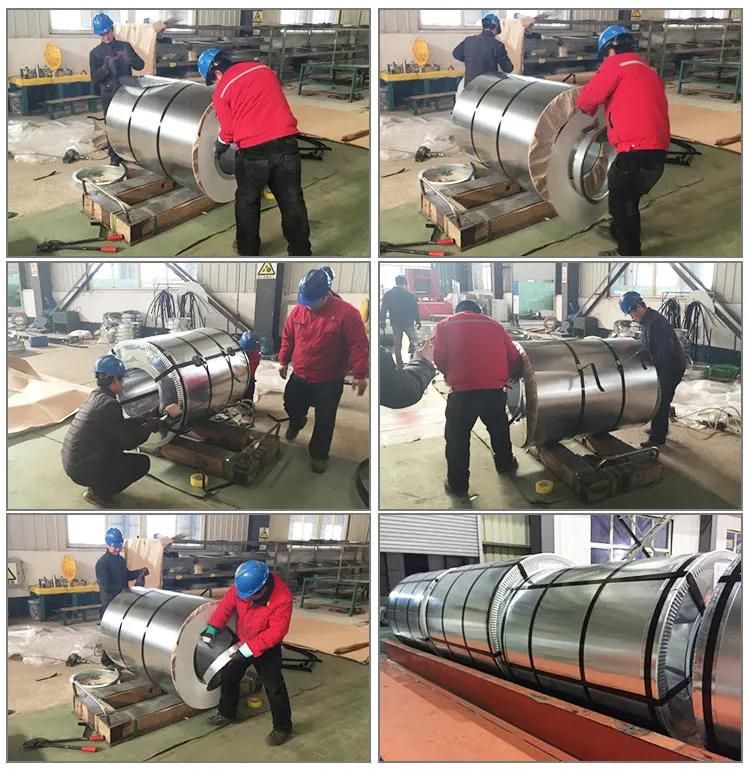 PPGI Steel Roll Galvanized Coated