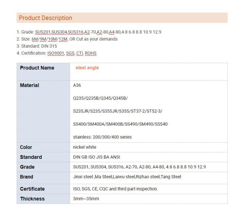 ASTM Ss304 L Equal Angle Steel Bar (CZ-A100)