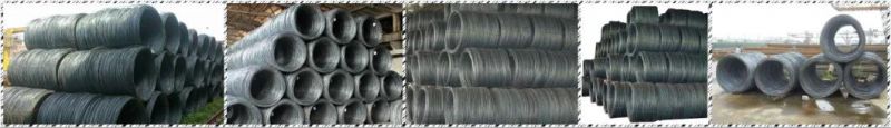 SAE1080 1060 1070 Q195 Hot Rolled Steel Wire Rod in Coils