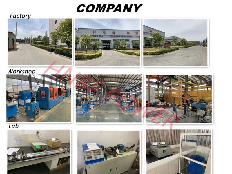 Galvanized Steel Wire Strand 7*2.65mm for ACSR Core with ASTM B 498 475 Standard Guy Wire Stay Wire Cable Gsw