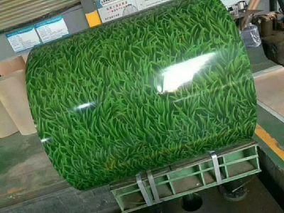 Color Coating Steel or Pre Painted Galvanized and Galvalume Steel Coil
