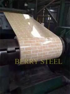 PPGI Steel Sheet/Steel Coil Wood Print