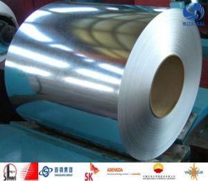 Galvanized Steel Coil for Sell Q195