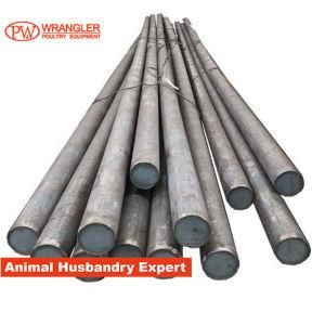 Hot DIP Galvanized Surface Grade 60 Steel Round Bar