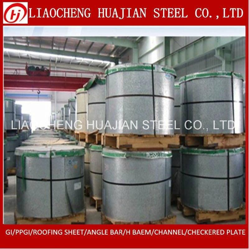 Galvanized Iron Steel Coil with OEM Manufacturer