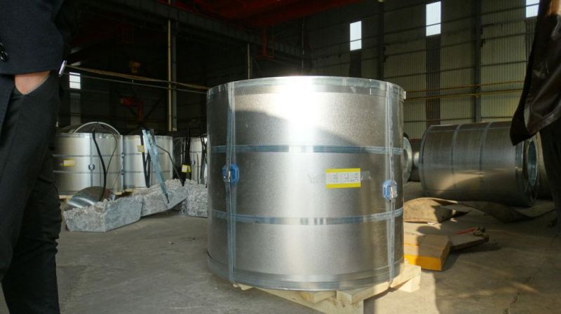 Galvanized Zinc Coated Steel Coil Used for Indoor Decoration