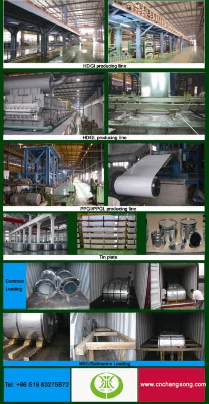0.14-0.8mm Sea Blue Prepainted Galvanized Steel Coil