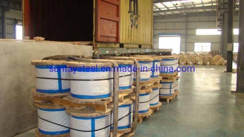 Zinc - Coated Stranded Steel Cable for Agricultural Greenhouse, Longlife