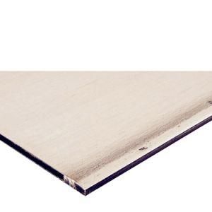 Hot Rolled Food Grade 304 Stainless Steel Sheet for Raw Material