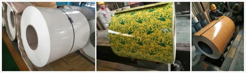 Prepainted Gi Steel Coil PPGI PPGL Color Coated Galvanized Steel Sheet in Coil