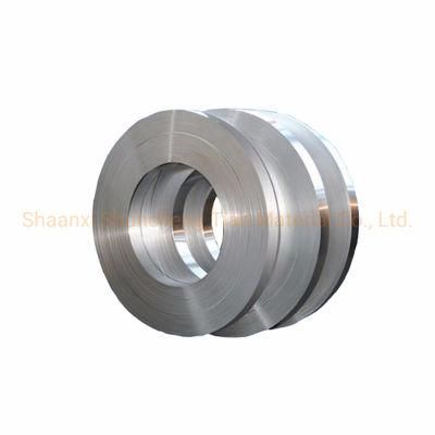 Flexible Stainless Steel Strip