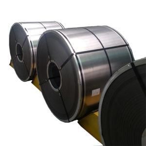 Export Hot Dipped Gi Coils/Galvanized Steel Roll Coil From Tianjin