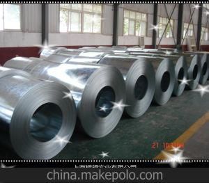 Cold Rolled Steel Coil / Stainless Steel Coil / Steel Strip with Factory Price