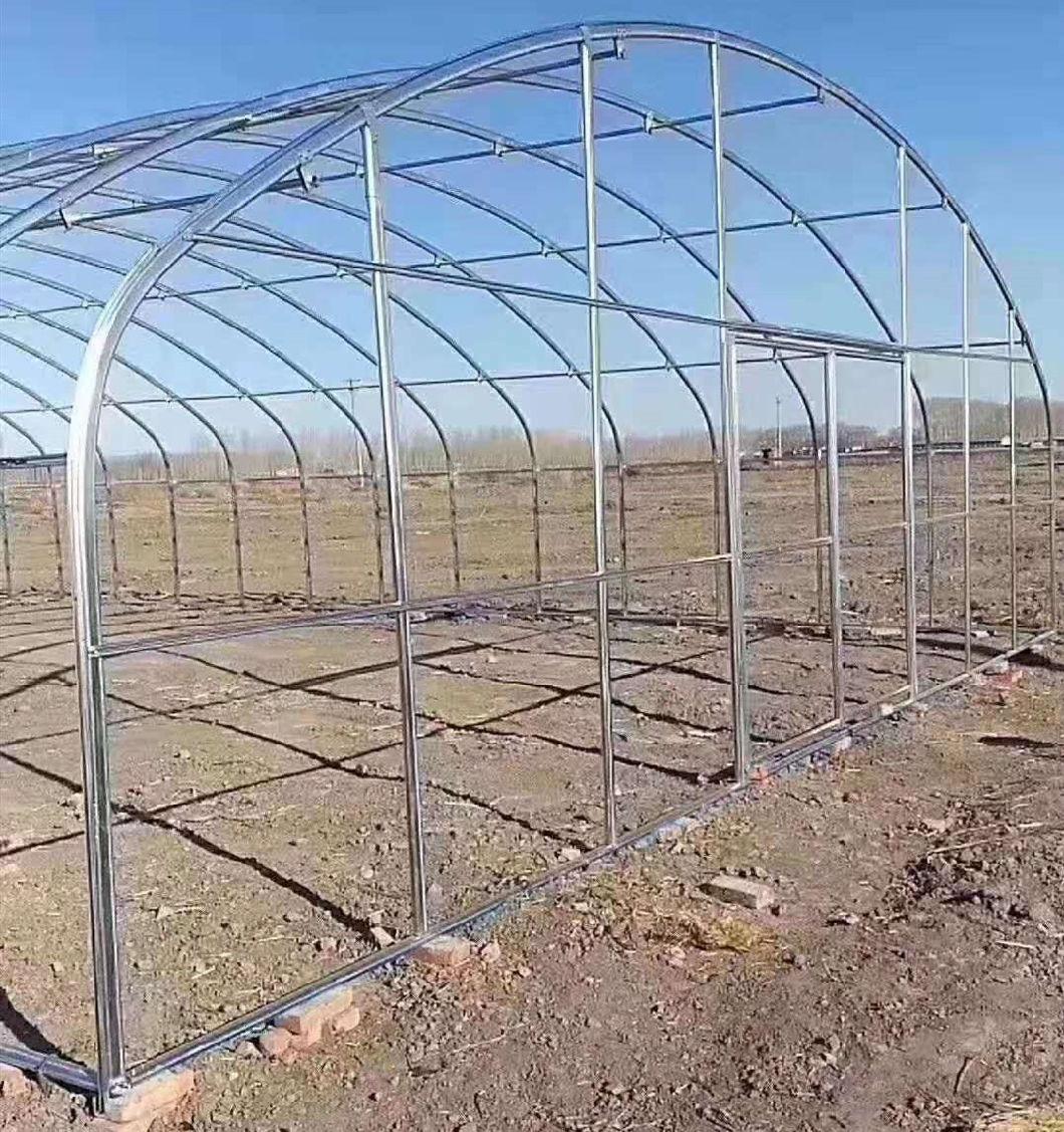 Pre Galvanized and Hot DIP Galvanized Steel Pipe for Greenhouse