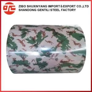 Color Coated Galvanized Steel Coil with 20 Years Experience/PPGI