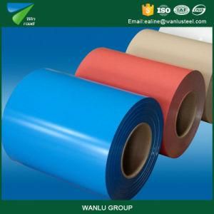 China PPGI/Metal Color Roofing Sheets Coil Low Prices /Pattern PPGI Coil Sheet