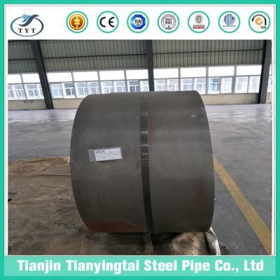 Factory Supply Galvanized Steel Coil/Strip