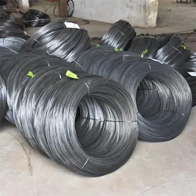 Custom Bright Soft 0.2mm 0.18mm 0.23mm 1.2mm 2mm 2.2mm 3mm304/304L 316/316L 310S Stainless Steel Wire