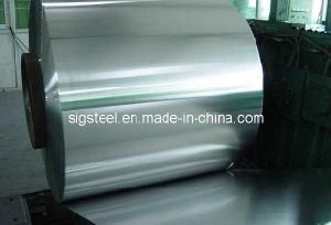 Hot Dipped Galvanied Steel Coil