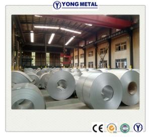 Dx51d Galvanized Steel Coil with Spangle