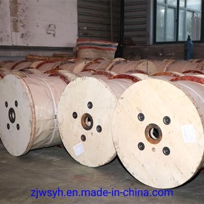Electro Galvanized Galvanized Technique and Galvanized Surface Treatment Galvanized Steel Wire Rope