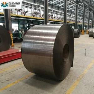 Prepainted Galvanized Steel Coil Gi in Steel Sheet Factory