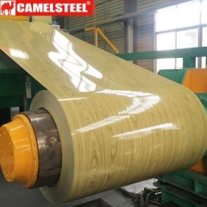 Camelsteel Steel Coil PPGI Top Quality PPGL Steel for Sale