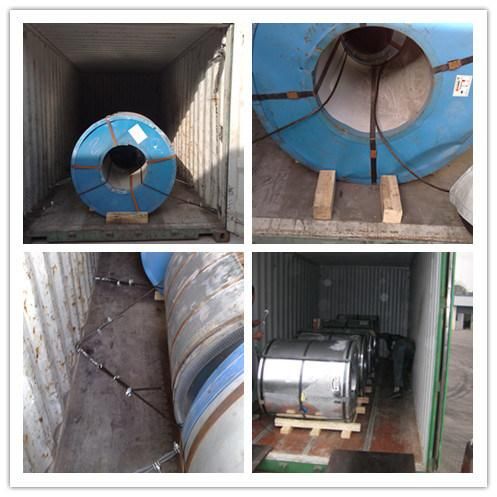Galvanized Steel Coil - Spangle