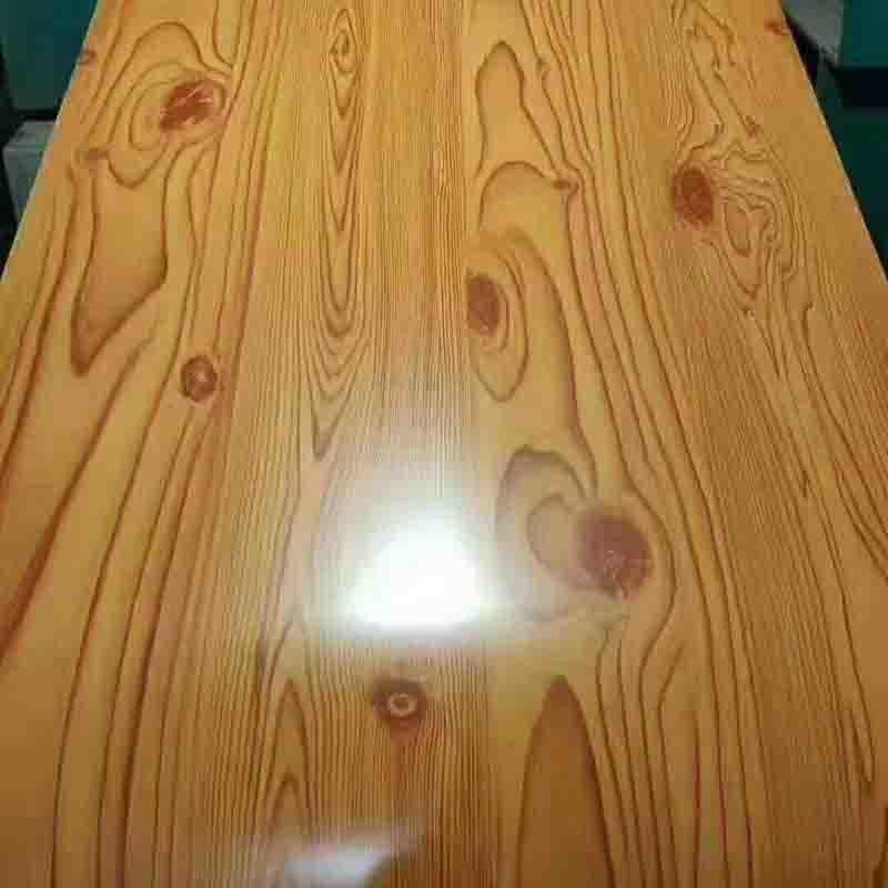 Color Coated Galvanized Galvalume Steel Sheet (PPGI, PPGL) for Workshop