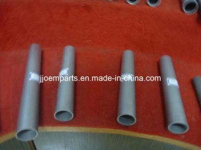 Tp310 Seamless Pipes/Welded Pipes (AISI 310, UNS S31000, 1.4810, TP 310)