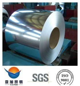 Prime Construction Building Material Hot Rolled Steel Coil