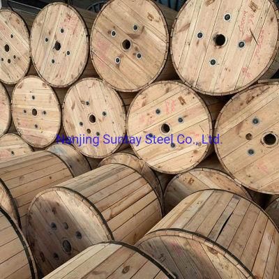 Hot-Dipped Performed Galvanized Steel Wire for Hardware
