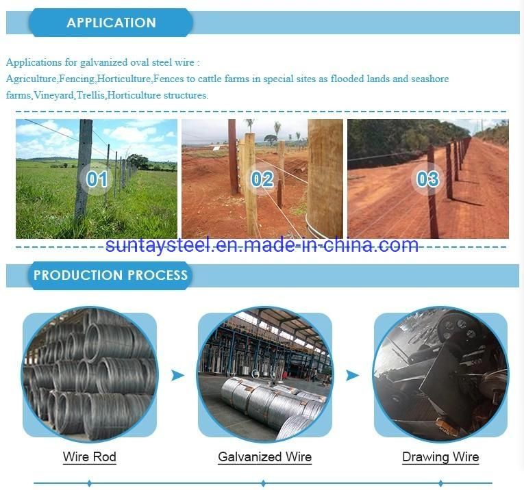 Smooth Oval Galvanized Steel Wire Is for Cattle Fence in South American Area.