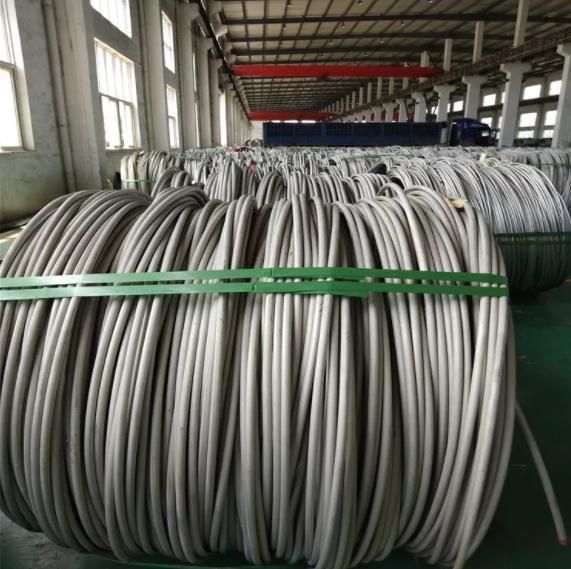 SAE1008 Hot Rolled Annealed Steel Wire Rod