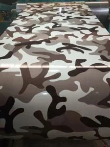 Prepainted / Colour Coated Galvanized Steel Coil