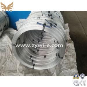 Cheap Price Hot Dipped Galvanized Iron Wire From China
