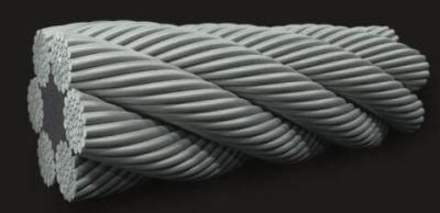 Eip Strength Galvanized Nylon Steel Wire Rope