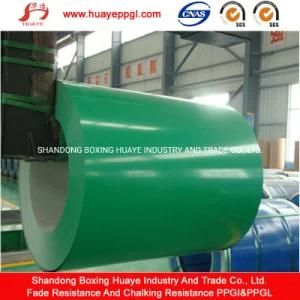 Reasonable Price Color Coated Galvanized Steel Coil