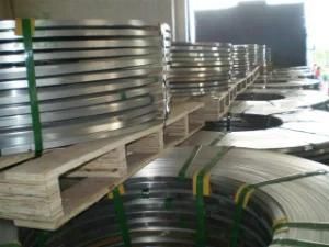 Narrow Width Stainless Steel Strip