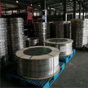 Chinese Supplier of Stainless Steel Coil (201, 202, 304, 304L, 316, 316L, 430)