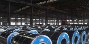 Prime Quality Prepainted Steel Strip