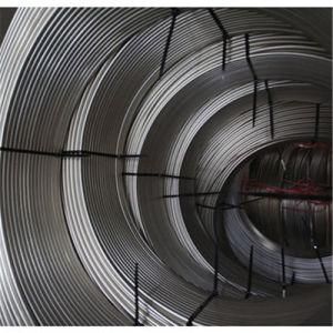 304 316 430 Annealed and Polished Stainless Steel Coiled Pipe