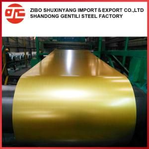 Price Prepainted Steel Coil/PPGI Coil From China Supplier