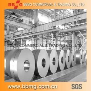 Manufacturer of Galvalume Steel Coil/Gl with ISO9001